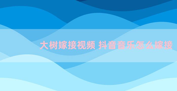 大树嫁接视频 抖音音乐怎么嫁接